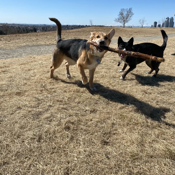 Meet your Posher, Meaghan - Picture 1 of 1